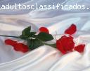 Carolzinha 19 aninhos