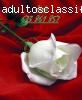 Jade, flor do prazzer
