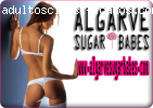 Sugar Babes
