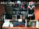 sexshop sensation