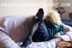 FETICHE POR PÉS